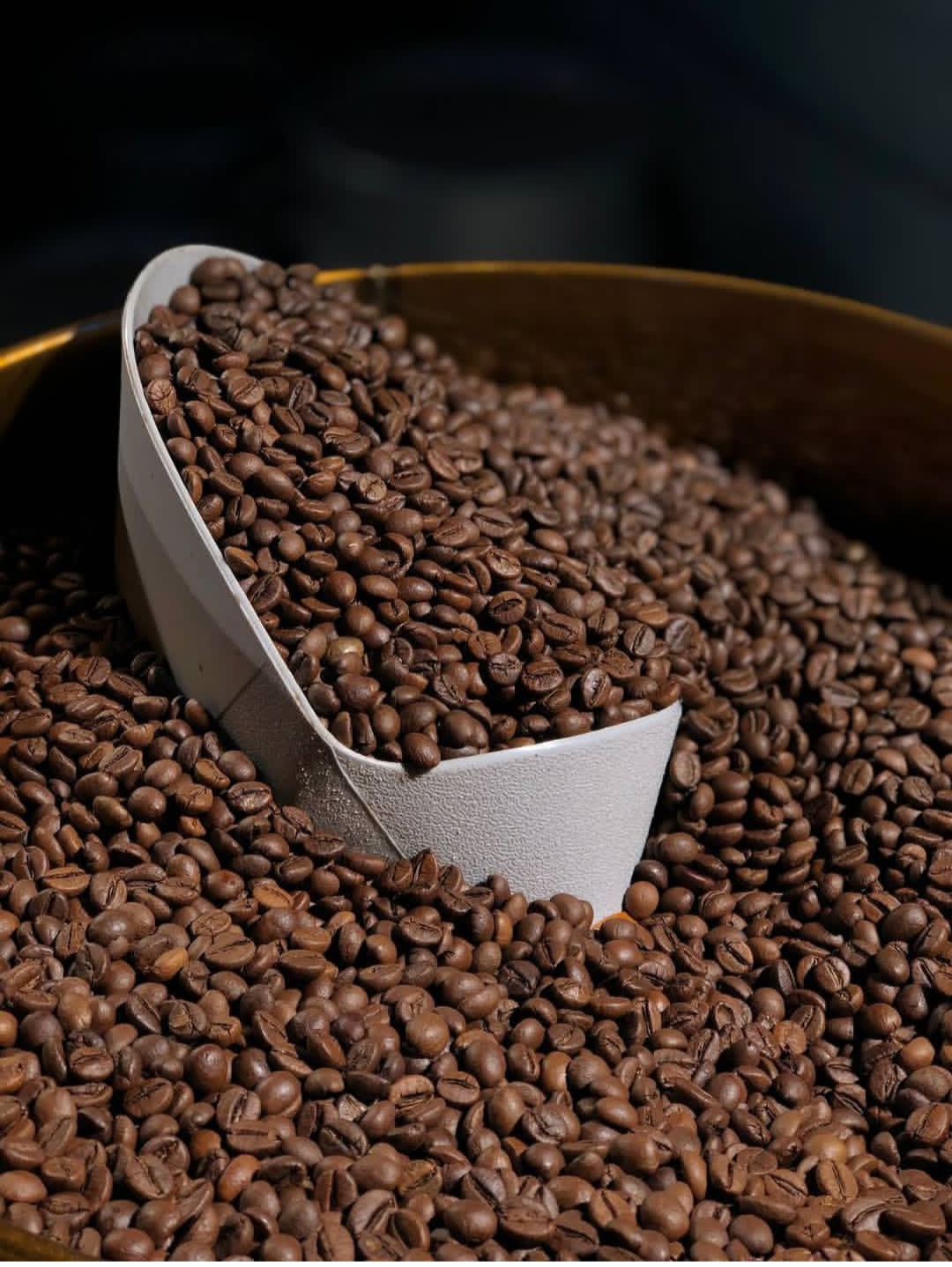 میکس قهوه 20درصد عربیکا و 80درصد ربوستا